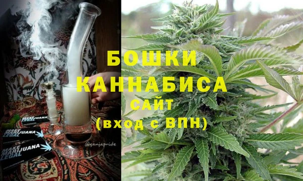 крисы Магадан