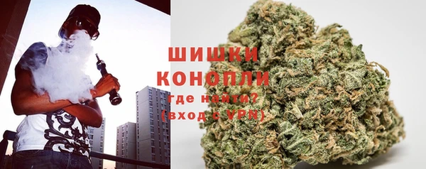 крисы Магадан