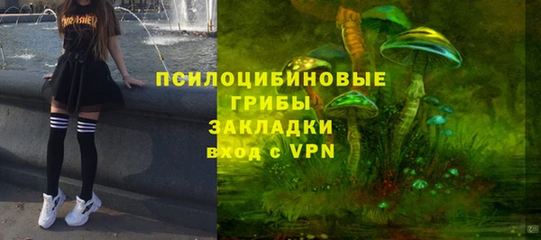 крисы Магадан