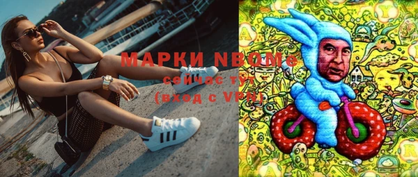 крисы Магадан