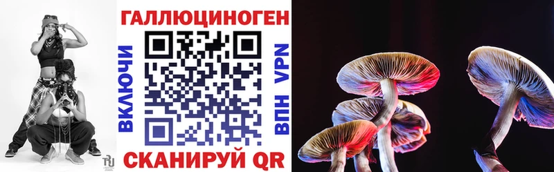 Купить закладки  Киселёвск  Псилоцибиновые грибы ЛСД 